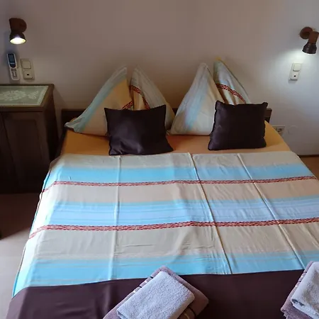 Guest House Villa Daniel-2